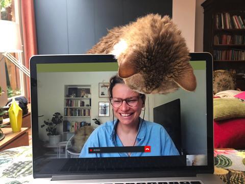 Video call with cat joining in