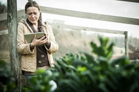 Woman looking at tablet in a farm field